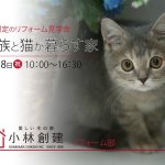 「家族と猫が暮らす家」見学会